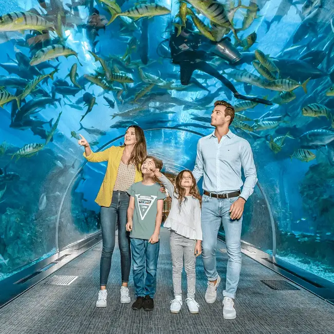 Vacances en famille à Dubaï : Aquarium