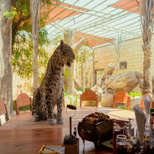 emirates_zoo