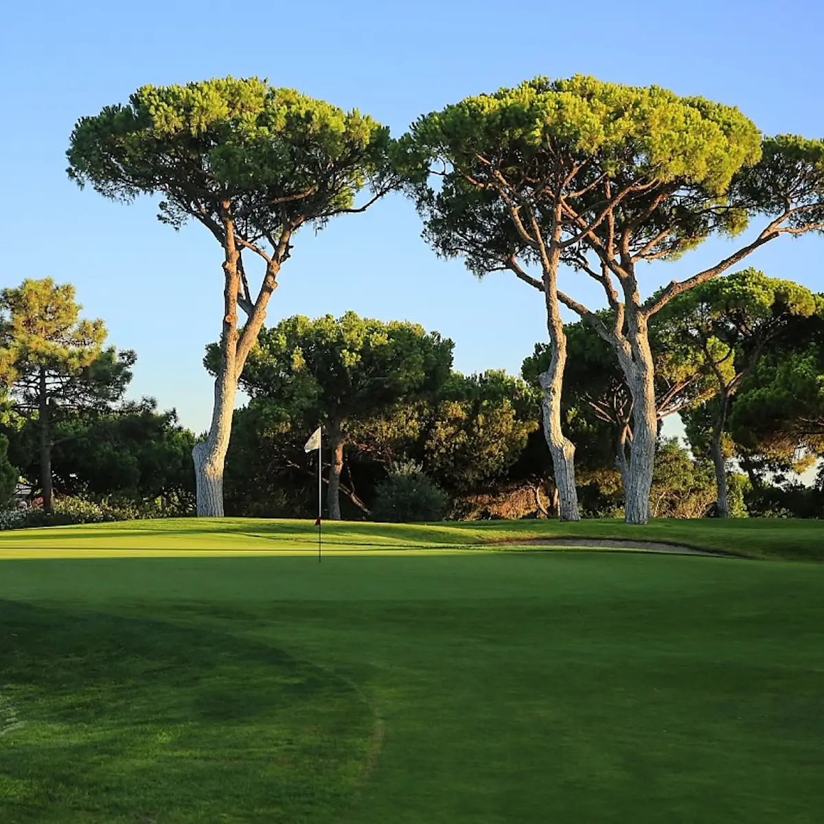 Dom Pedro Old Course