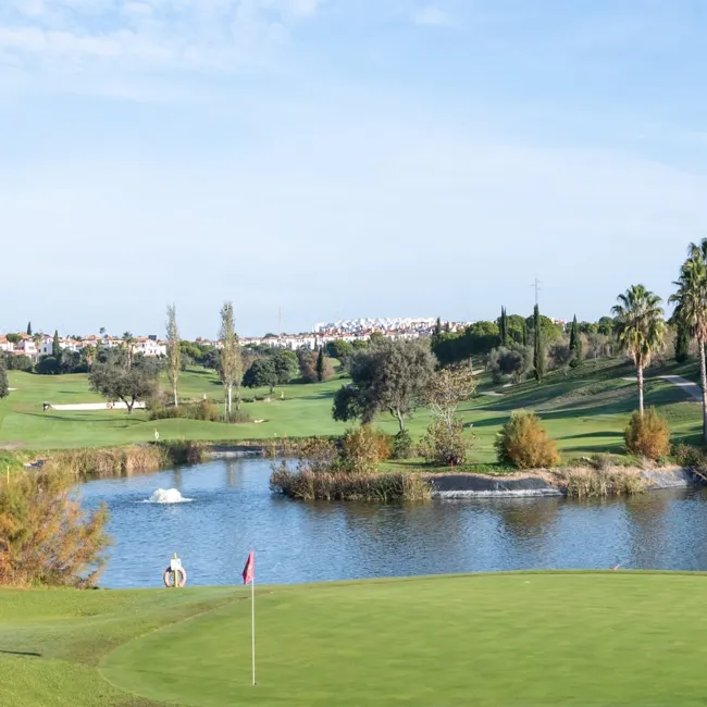 Hato Verde Golf