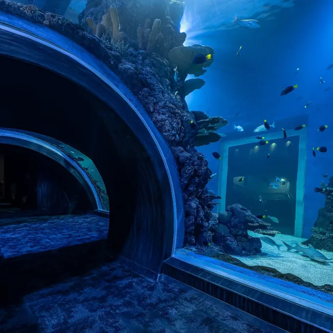 Aquarium de Muscat