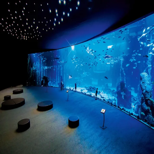 Aquarium aux Canaries