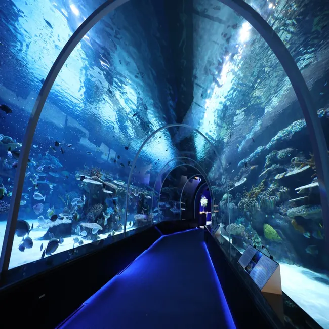 Aquarium Doha