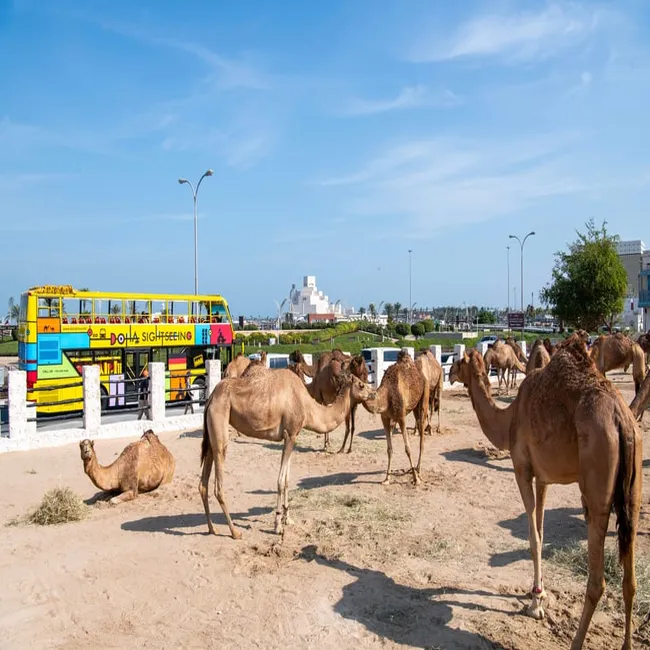 Visite Doha et Qatar