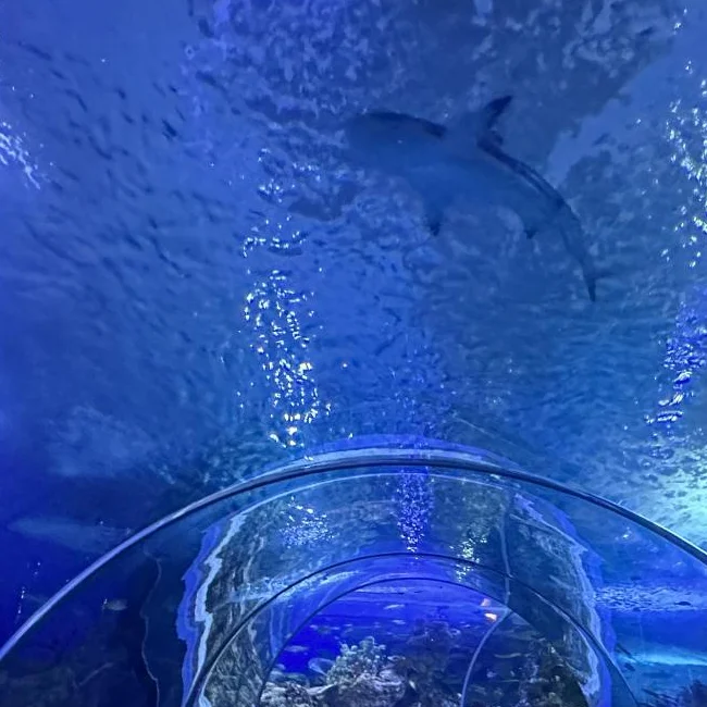 Fakieh Aquarium