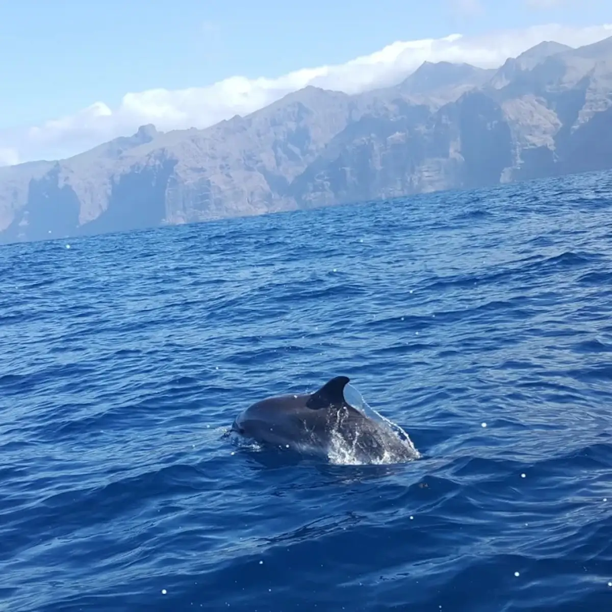 Vacances en famille aux Canaries