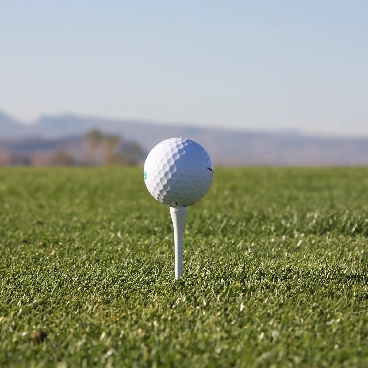 Al Rayyan Golf Club