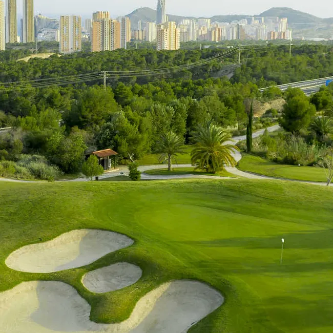 golf-valence-optimized Golf valence