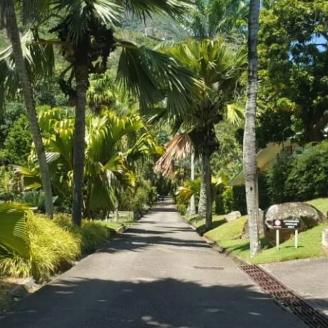 Jardin aux Seychelles