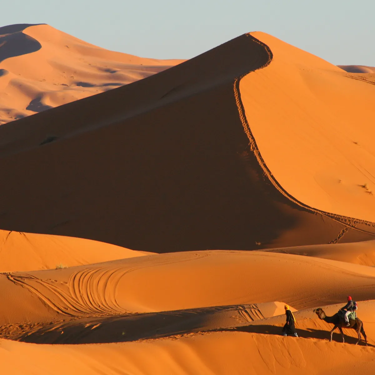 Activités au Maroc