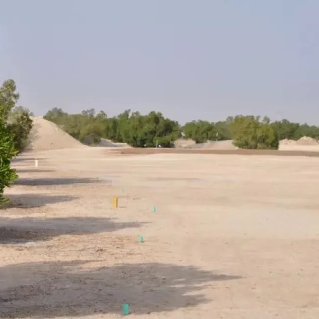 Mesaieed Golf Club