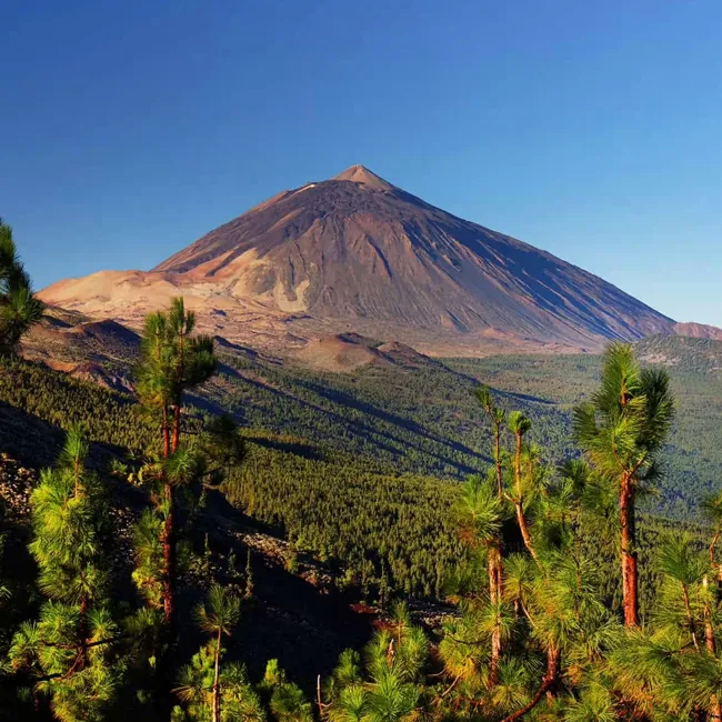 Parc du Teide
