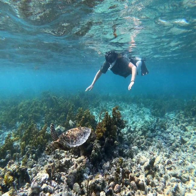 Plongée aux Seychelles