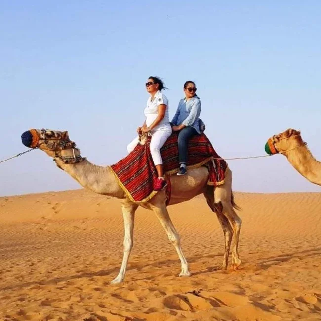 Safari chameau Riyadh