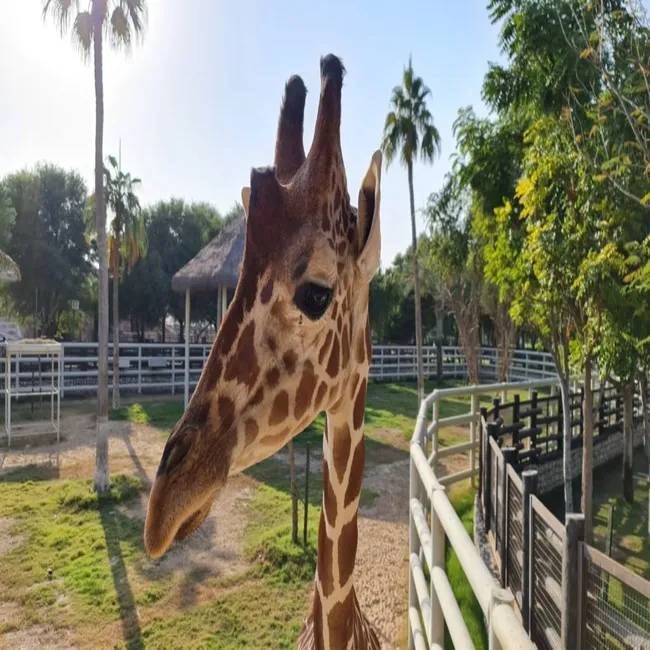 Zoo doha