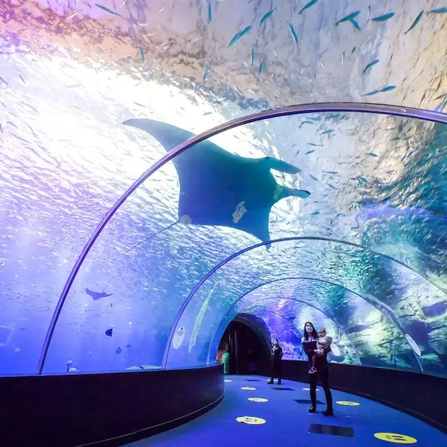 Aquarium Nausicaa