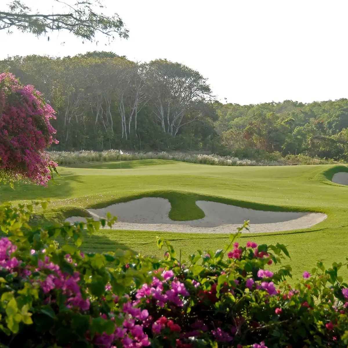 Les meilleurs golfs à Bali