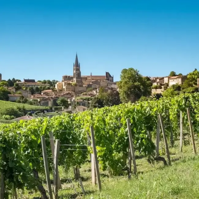 Dégustation à Saint-Émilion