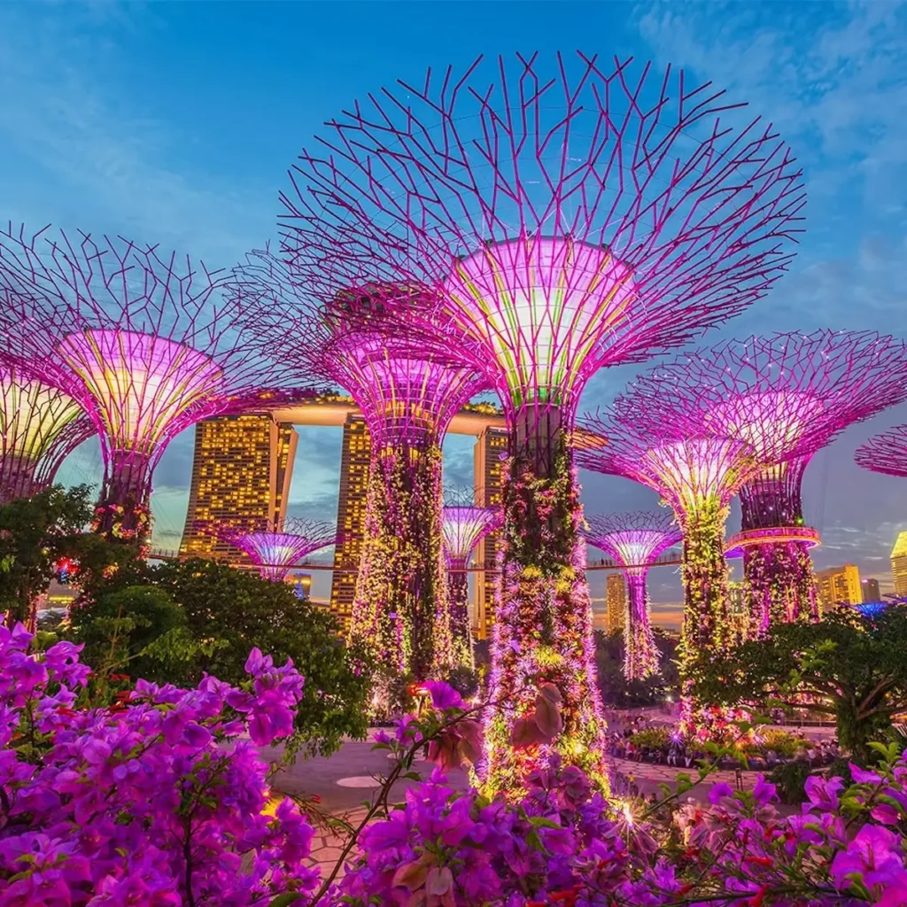 Activités à Singapour