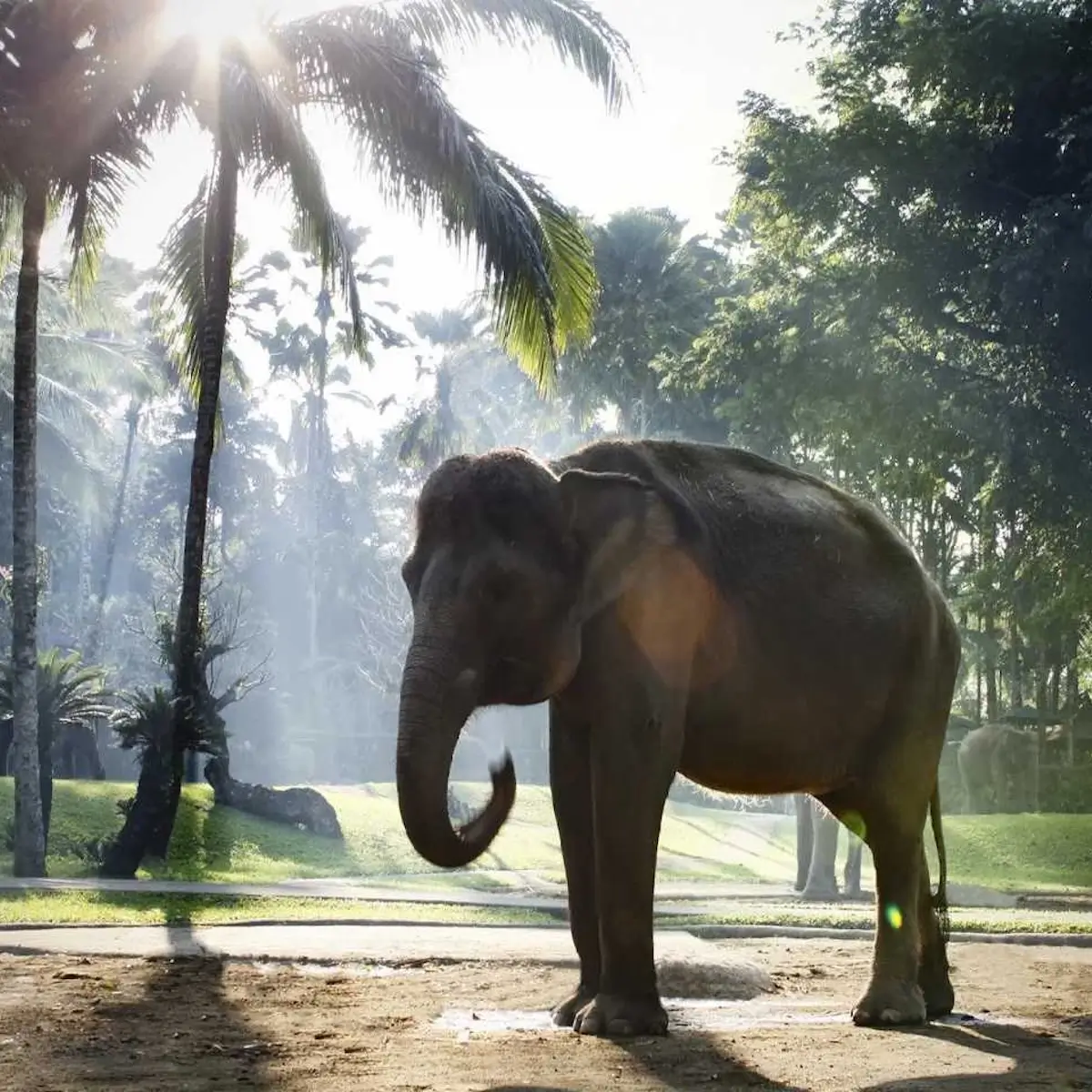 Vacances en famille à Bali