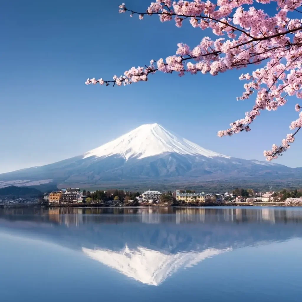 Activités au Japon
