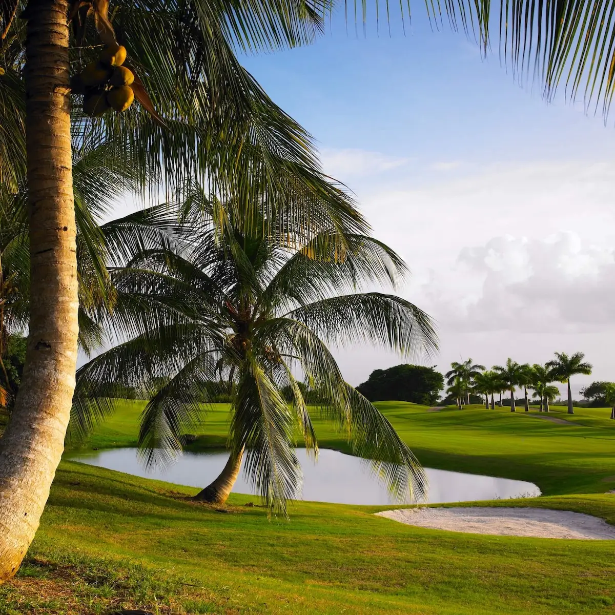Royal Westmoreland Golf Course