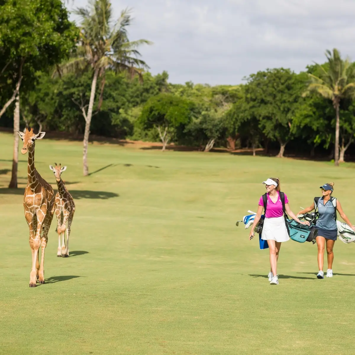 Les meilleurs golfs au Kenya