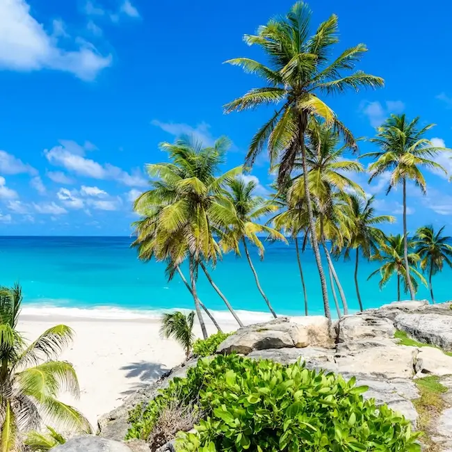 Plage à la Barbade
