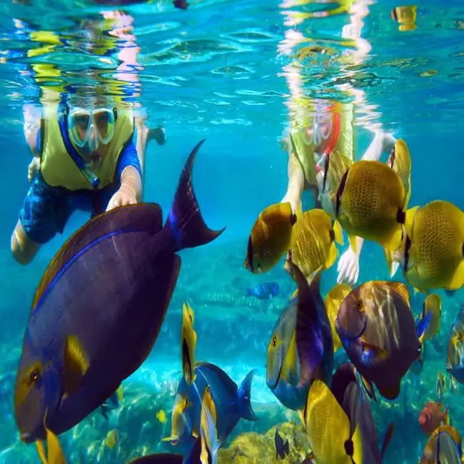 Snorkeling à Bali