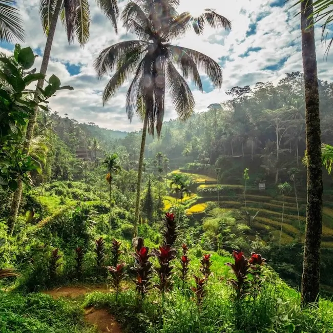 Ubud