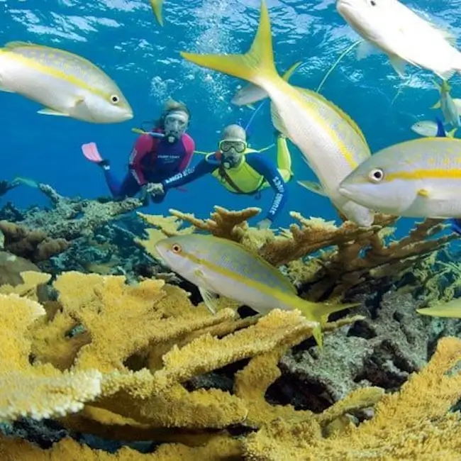 Aquarium Atlantis Paradise Island