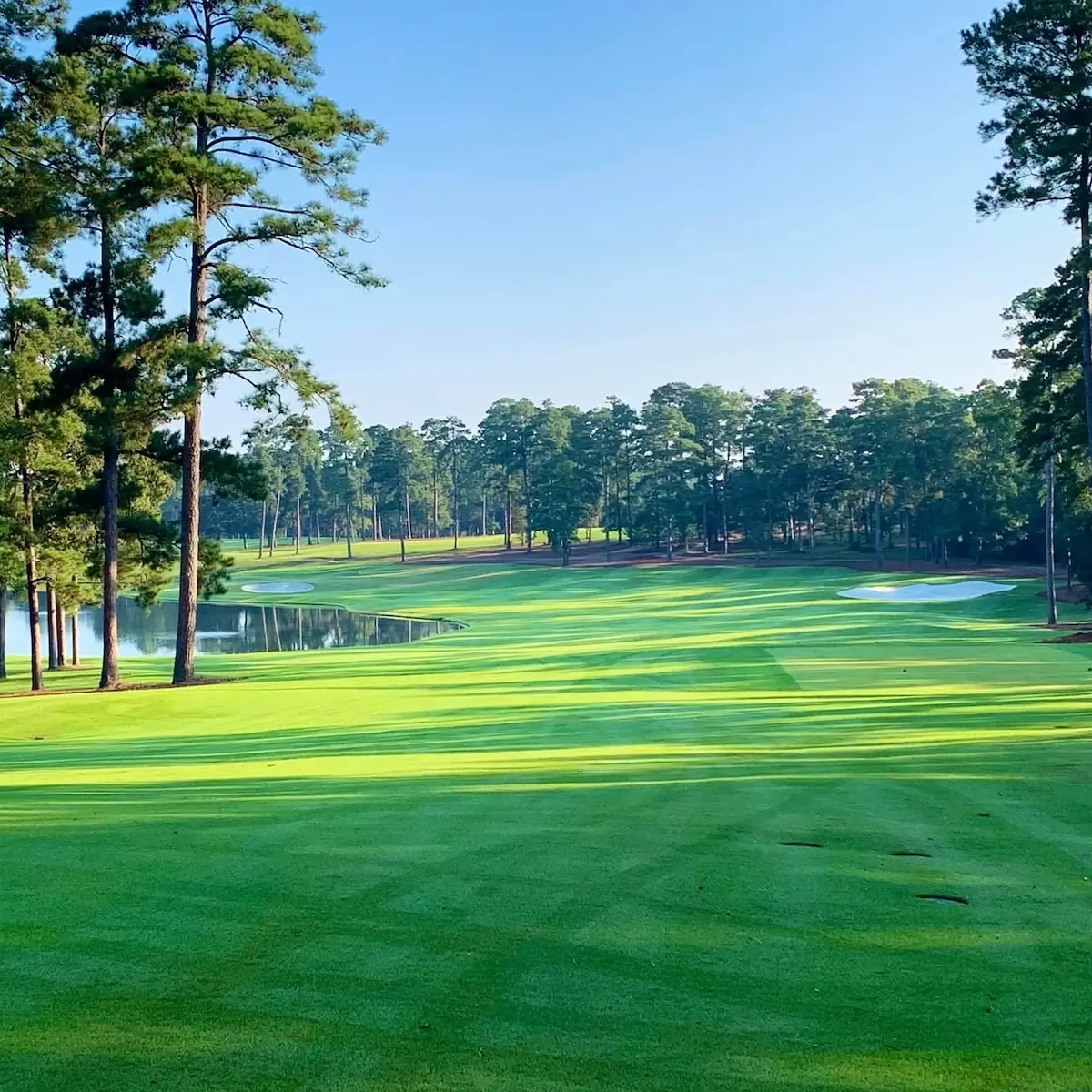 Bluejack National