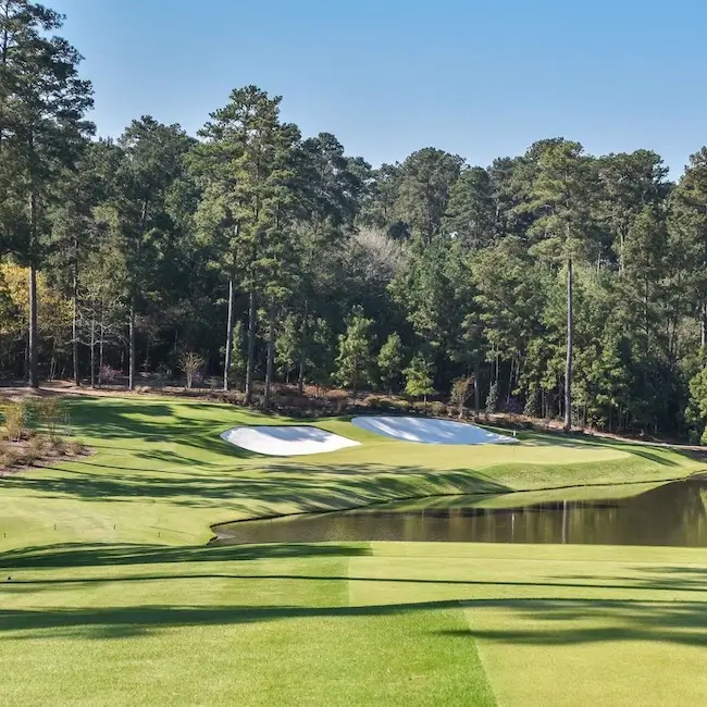 Bluejack National