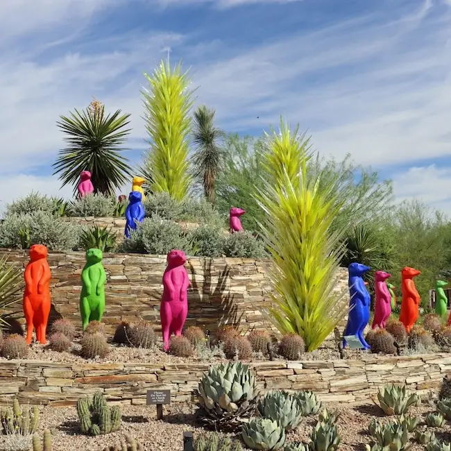 Desert Botanical Garden de Phoenix