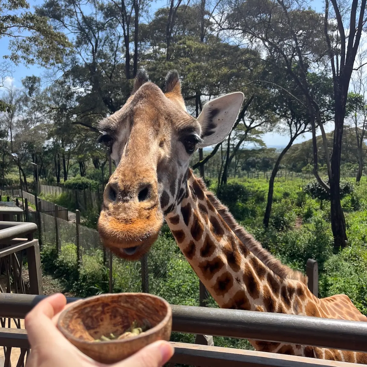 Vacances en famille au Kenya