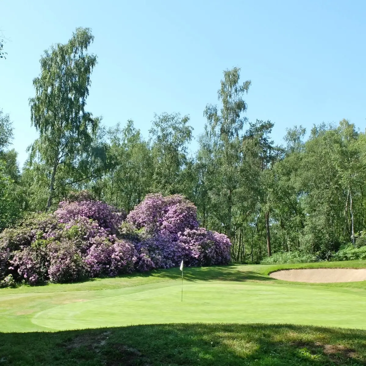 Golf de Champ de Bataille