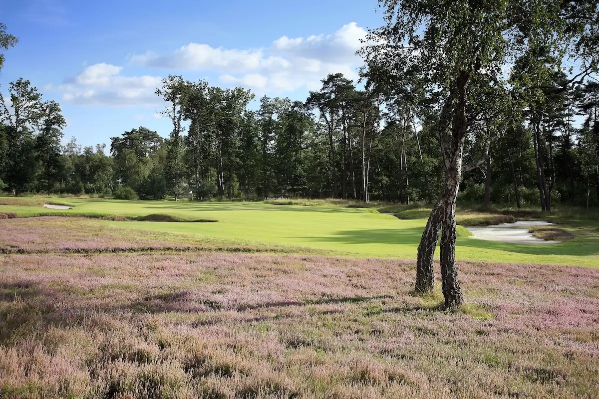 Golf de Morfontaine