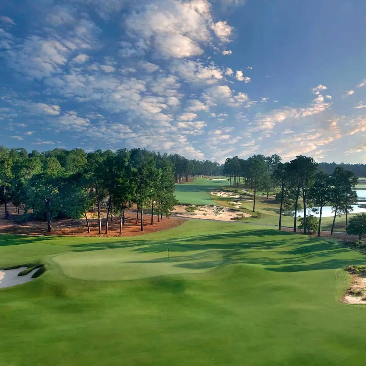 Pinehurst No. 2