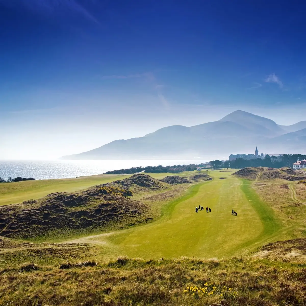 Royal County Down