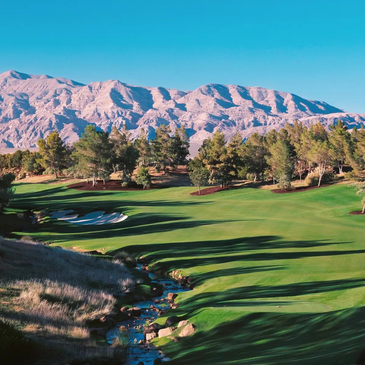 Shadow Creek