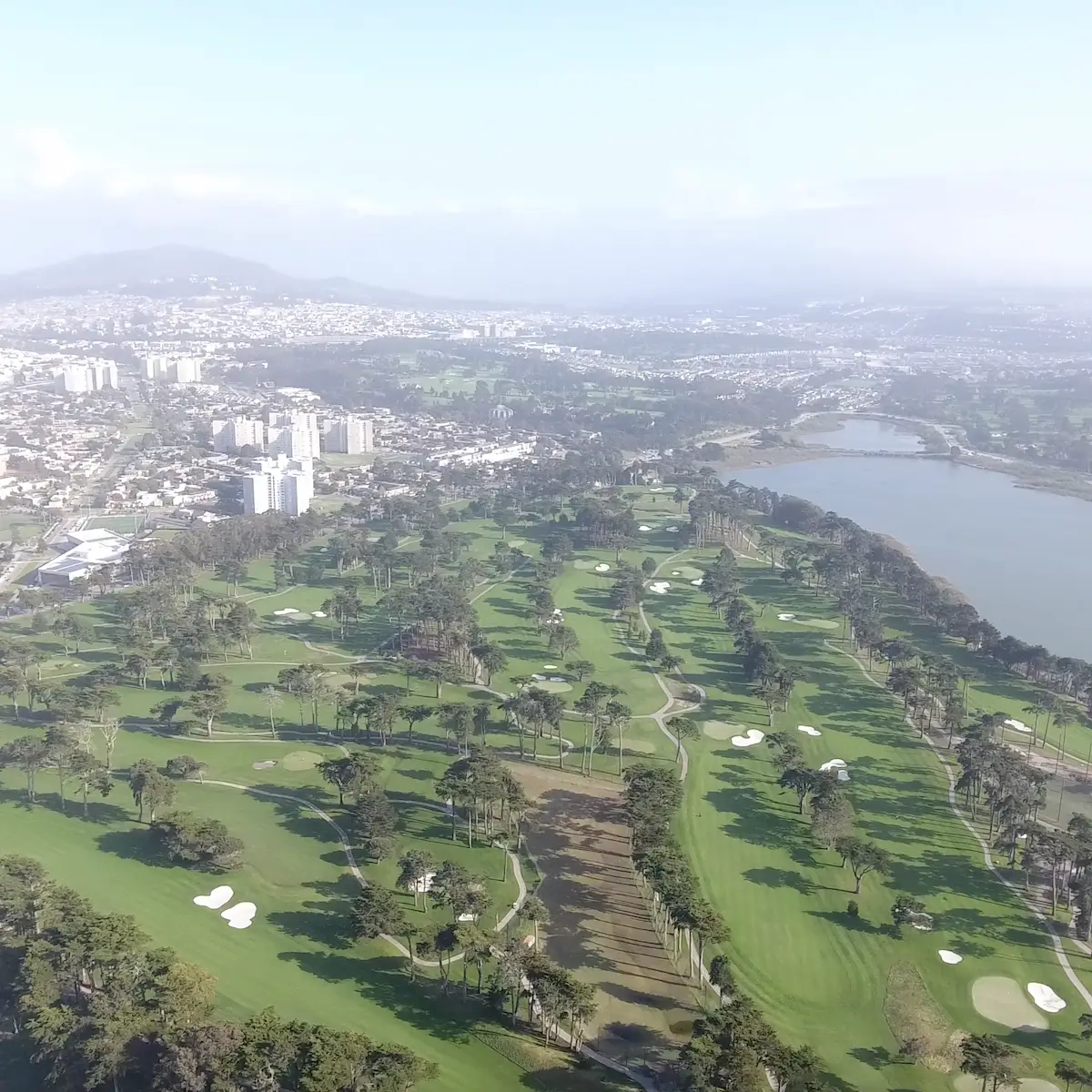 TPC Harding Park