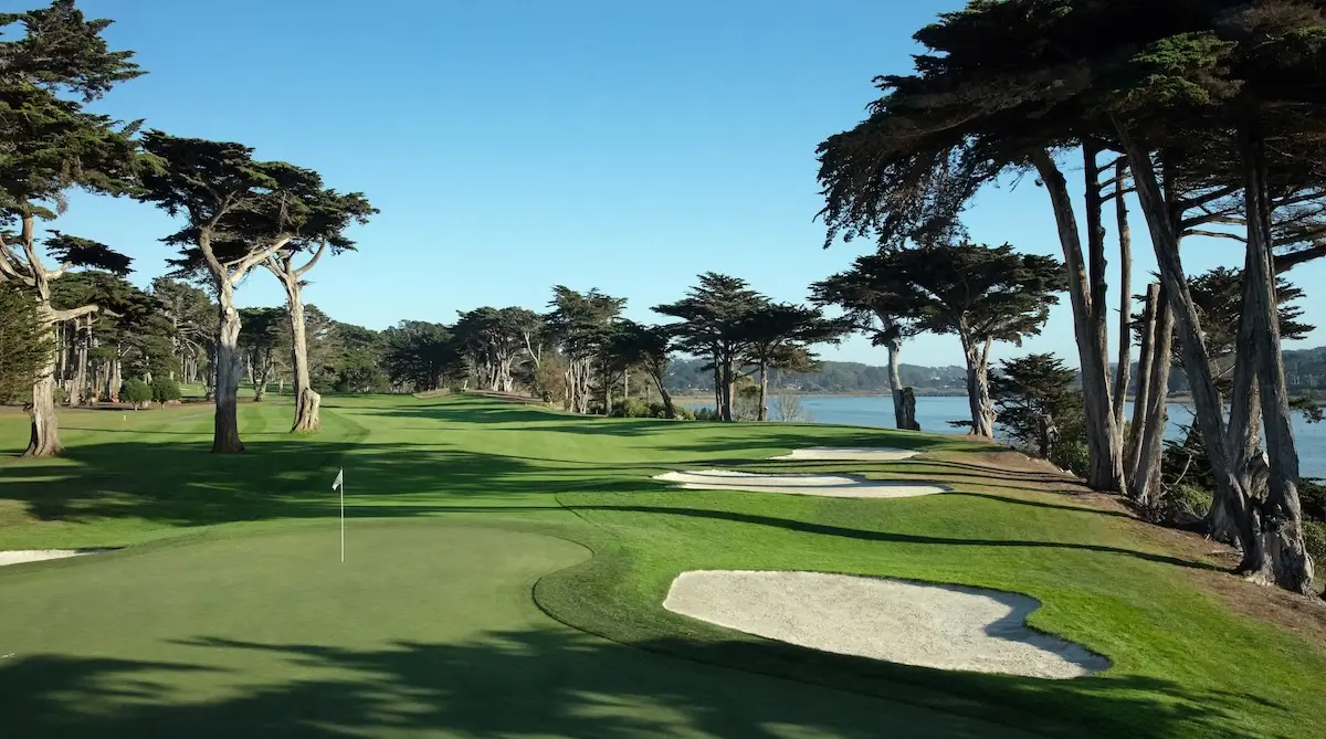 TPC Harding Park