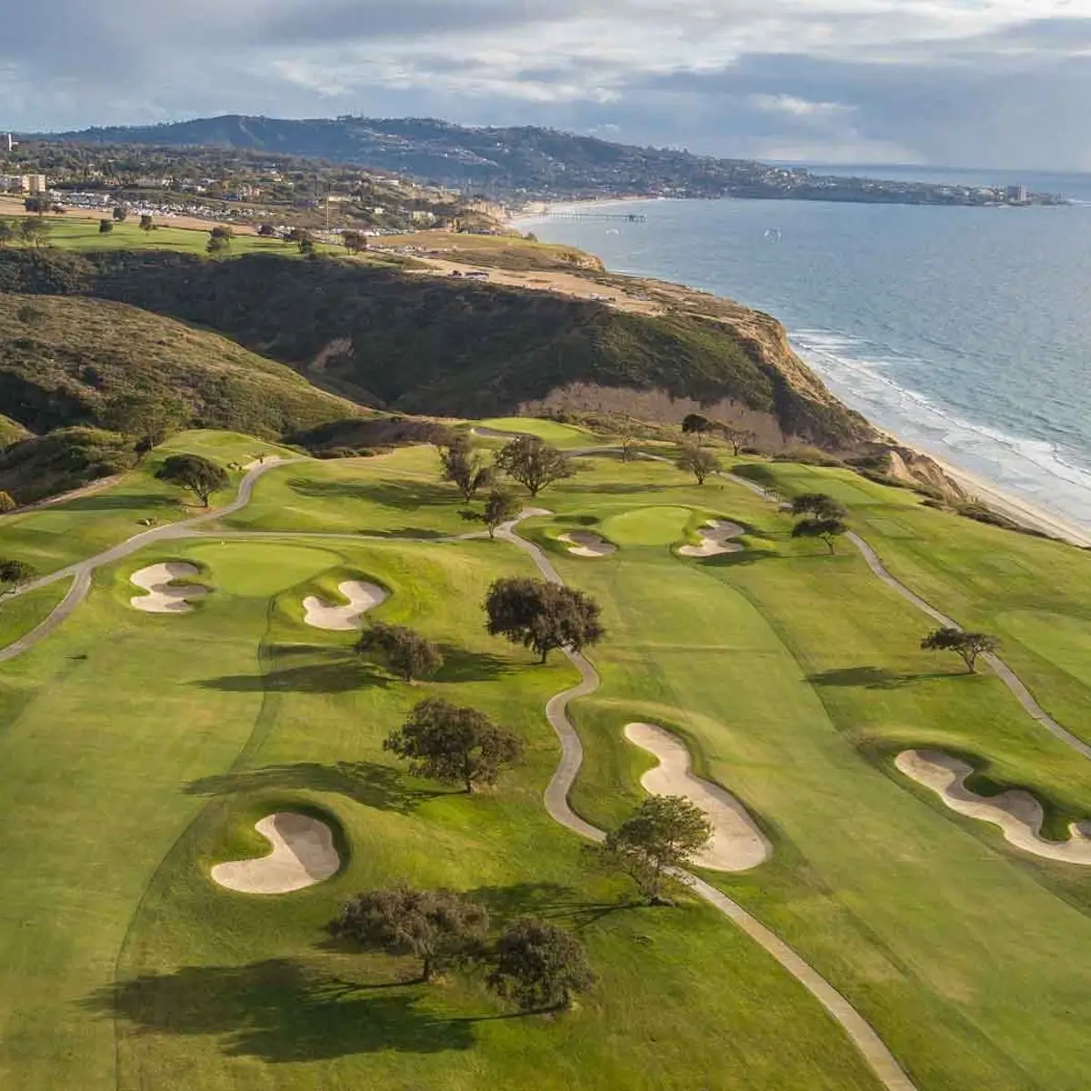 Torrey Pines