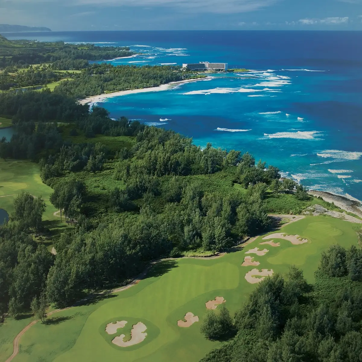 Turtle Bay