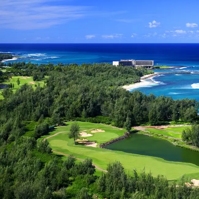 Turtle Bay