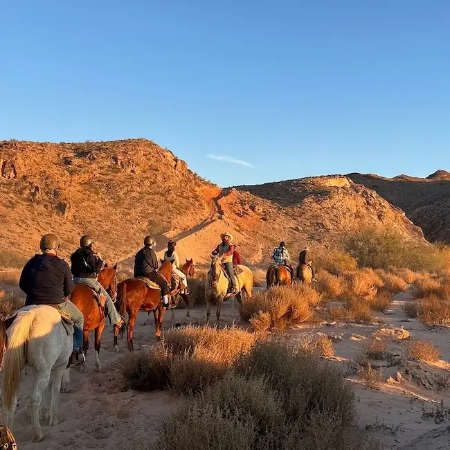 Balade à cheval