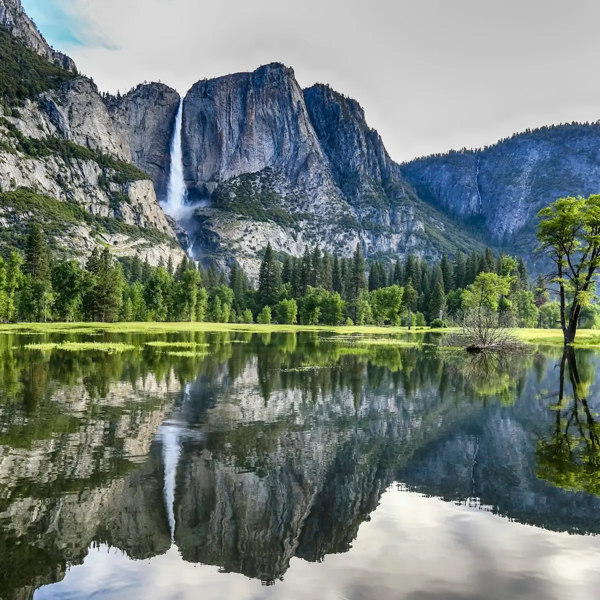 Activités en Californie du Nord