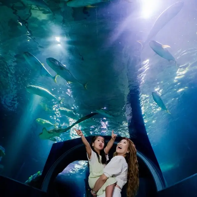 Aquarium Australia