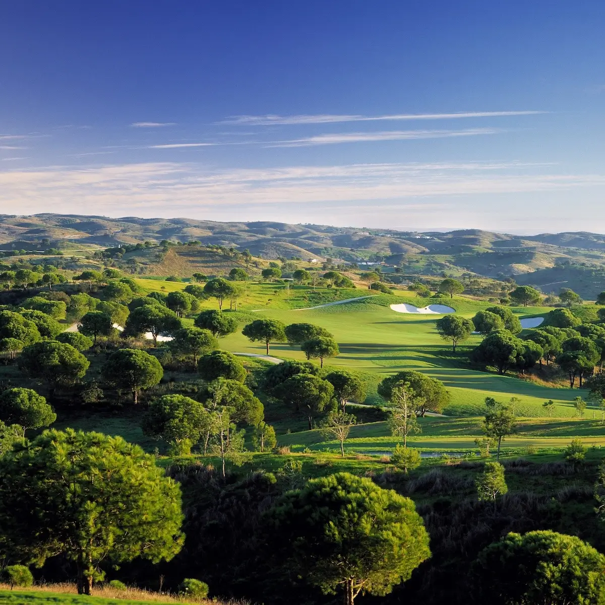 Bardmoor Golf & Tennis Club