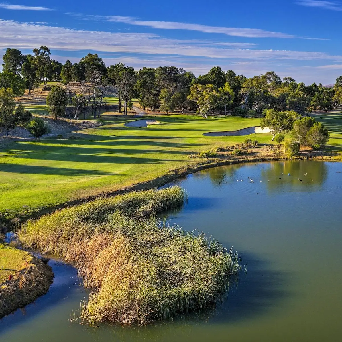 Barossa Valley Golf Club
